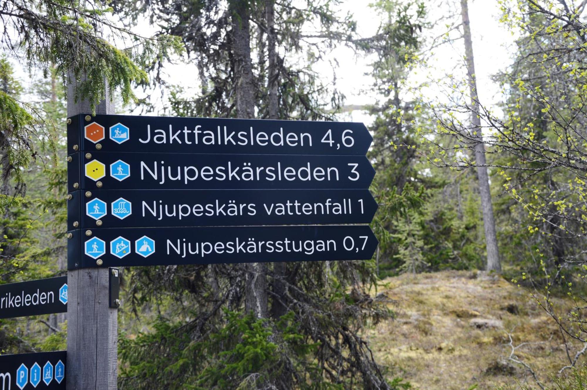 16 - Fulufjellets Nasjonalparker - Natur-, Dyre- Og Fugleopplevelser Ljørdal Екстериор снимка