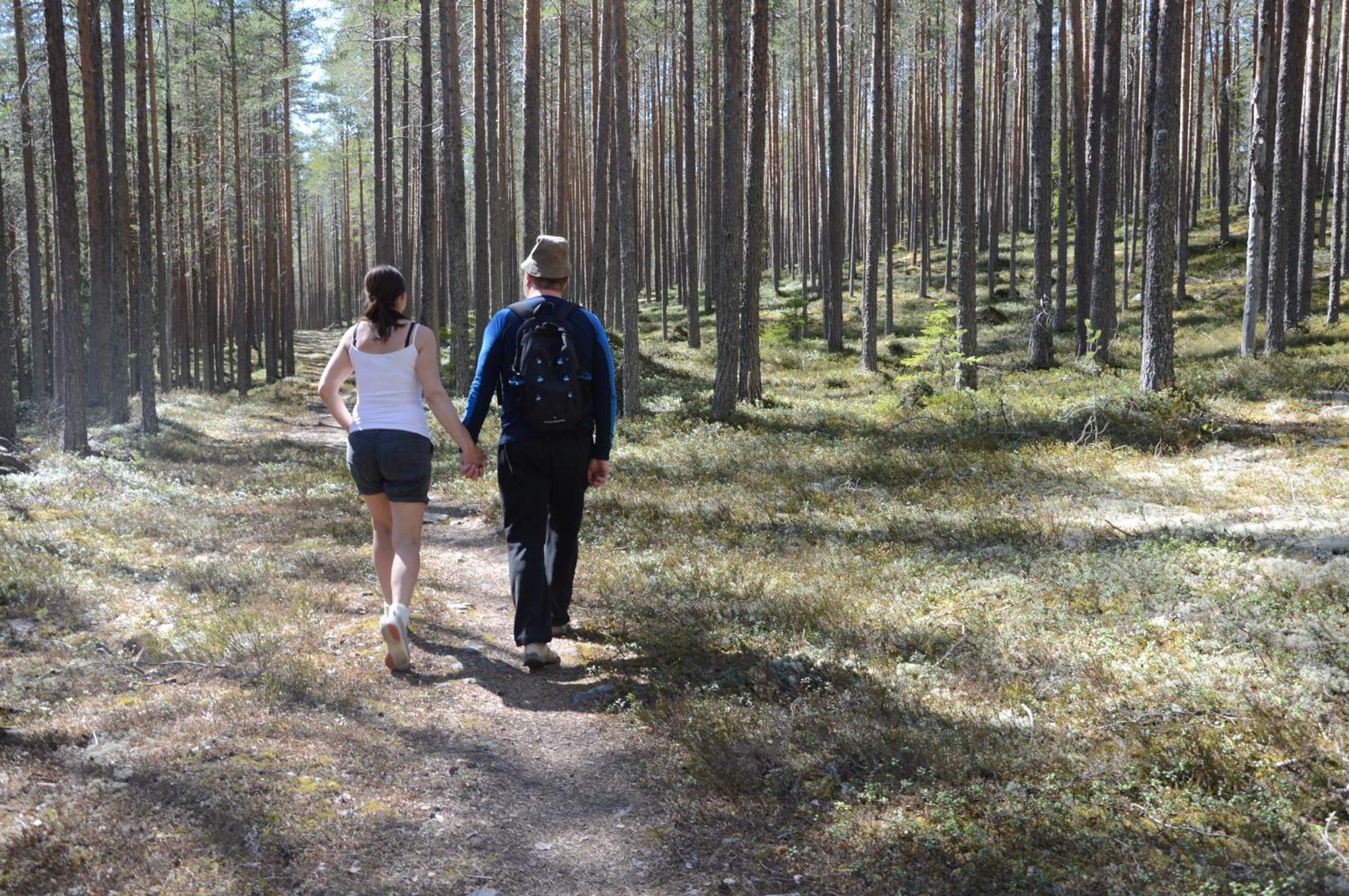 16 - Fulufjellets Nasjonalparker - Natur-, Dyre- Og Fugleopplevelser Ljørdal Екстериор снимка