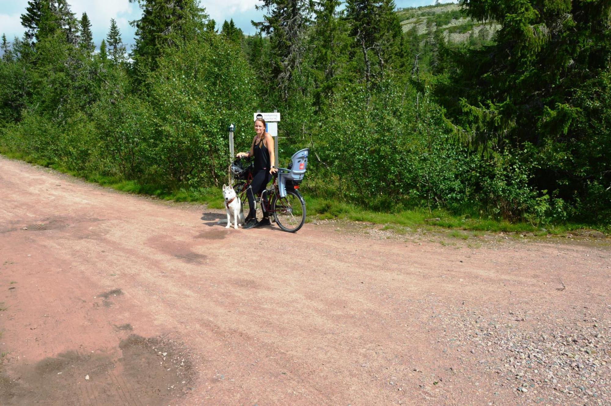16 - Fulufjellets Nasjonalparker - Natur-, Dyre- Og Fugleopplevelser Ljørdal Екстериор снимка