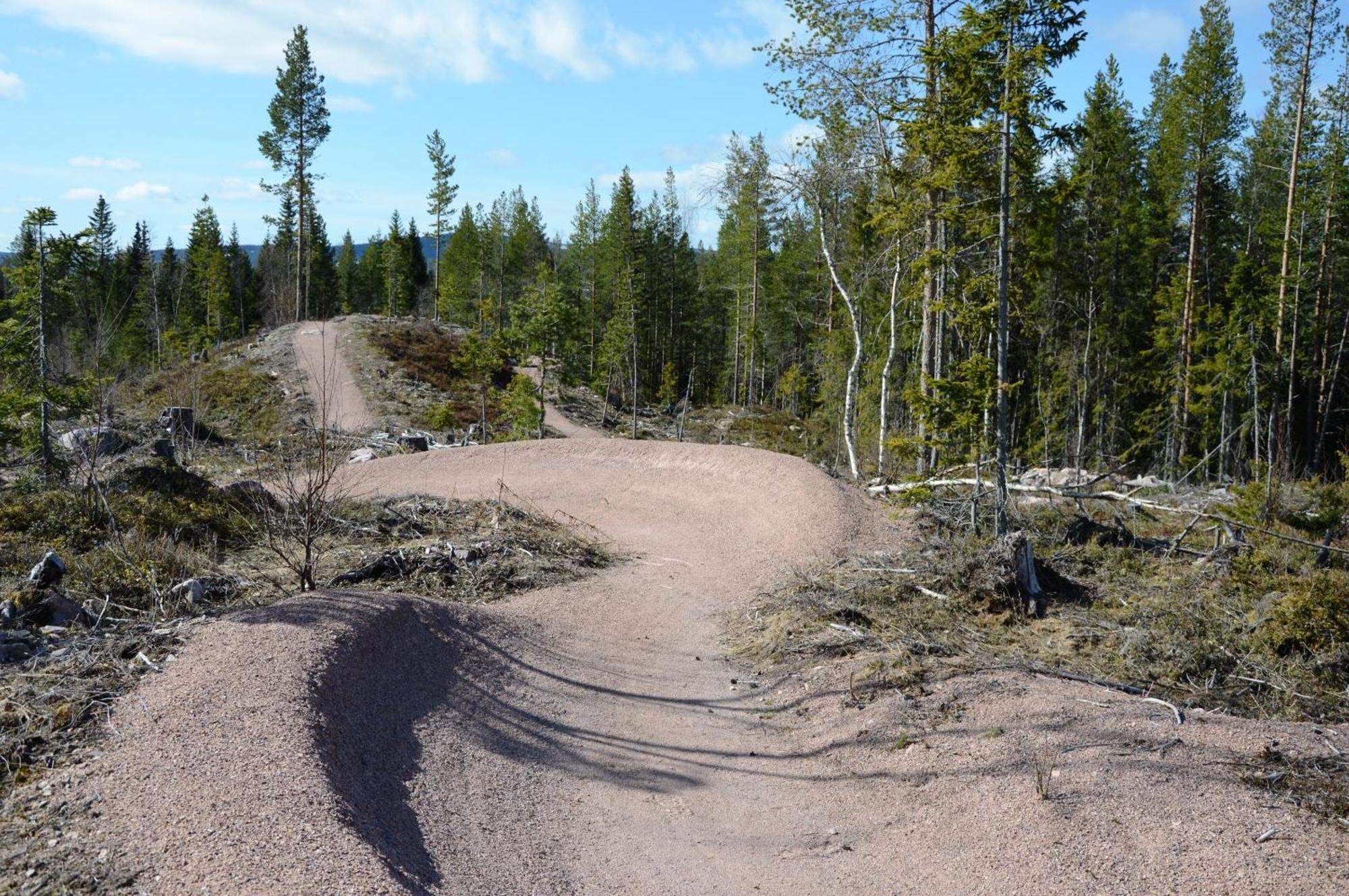 16 - Fulufjellets Nasjonalparker - Natur-, Dyre- Og Fugleopplevelser Ljørdal Екстериор снимка