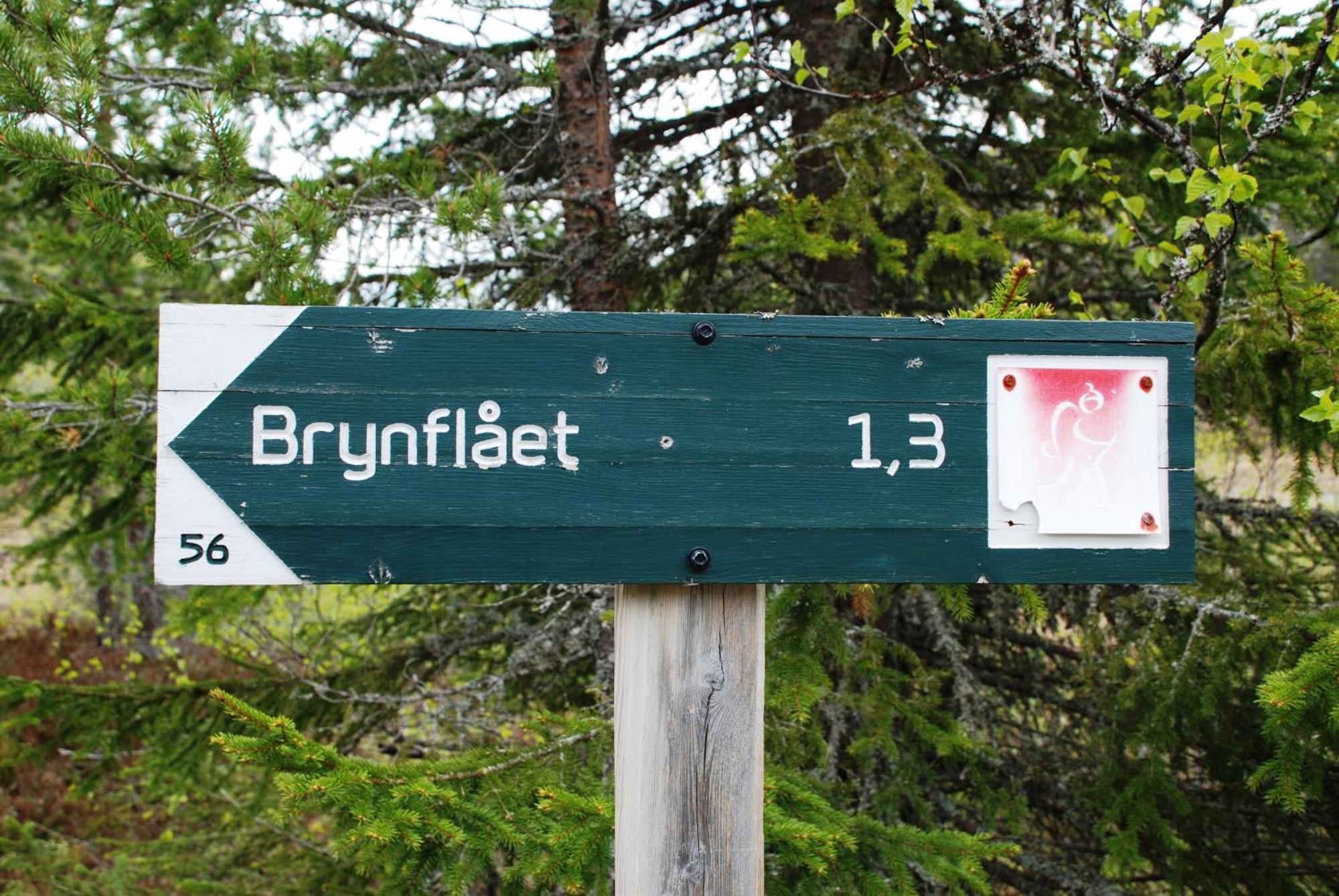 16 - Fulufjellets Nasjonalparker - Natur-, Dyre- Og Fugleopplevelser Ljørdal Екстериор снимка