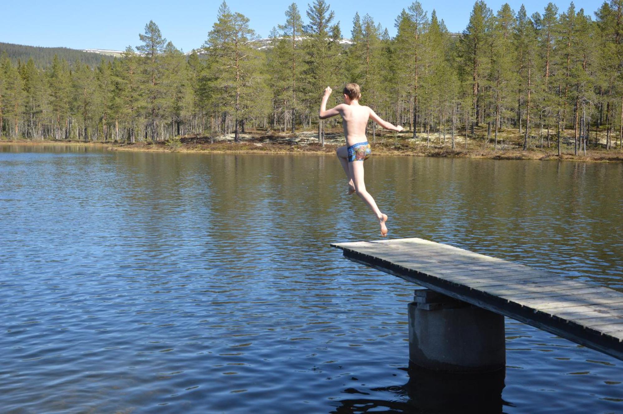 16 - Fulufjellets Nasjonalparker - Natur-, Dyre- Og Fugleopplevelser Ljørdal Екстериор снимка