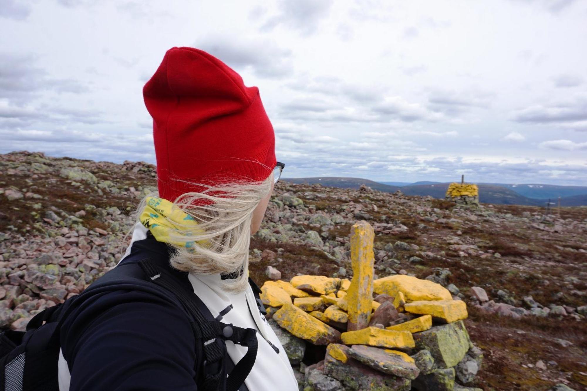 16 - Fulufjellets Nasjonalparker - Natur-, Dyre- Og Fugleopplevelser Ljørdal Екстериор снимка