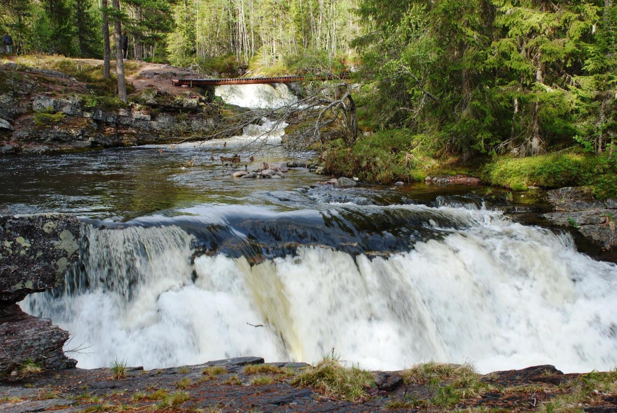 16 - Fulufjellets Nasjonalparker - Natur-, Dyre- Og Fugleopplevelser Ljørdal Екстериор снимка